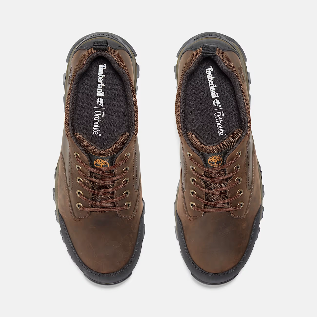 Men's Mt. Maddsen Waterproof Low Hiker Boot